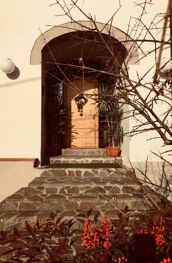 דירות Capolona Casa Al Riccio מראה חיצוני תמונה