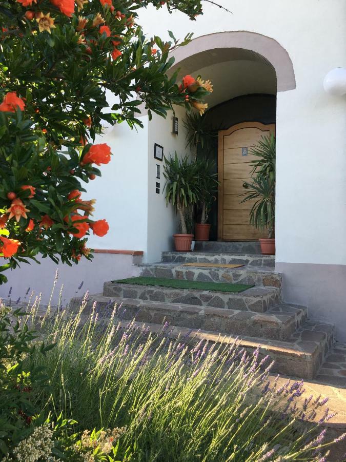 דירות Capolona Casa Al Riccio מראה חיצוני תמונה